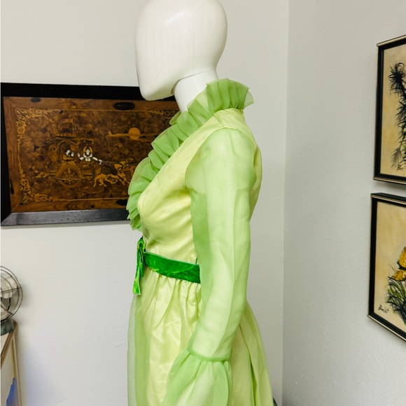 Lorrie Deb San Francisco Vintage Prom Dress - Picture 9 of 13